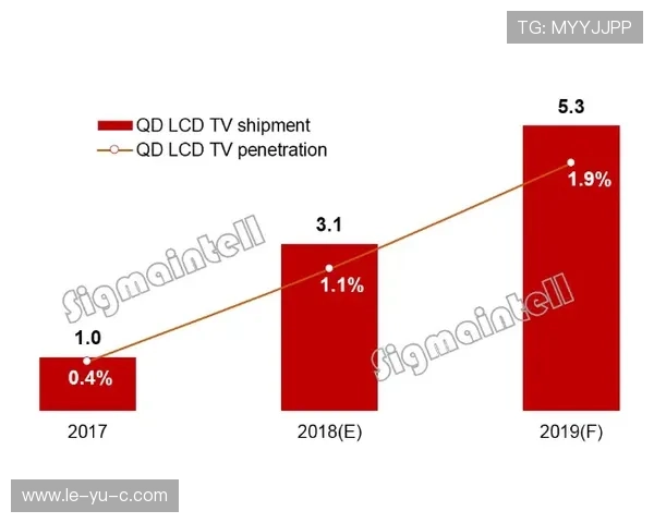 退役运动员多元转型路径新趋势解析