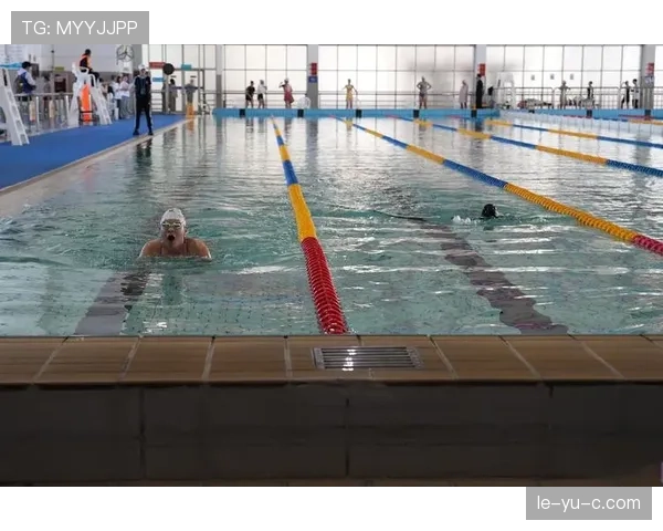 艾莉森·施米特加冕世界冠军，泳池奇迹闪耀赛场