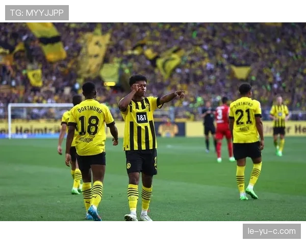 德甲一线阵容焕然一新：新星加盟点燃希望，老将退役开启时代新篇章